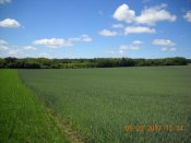 DSCN0765.JPG