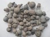 Изображение 793.jpg