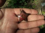 DSCF6068.JPG