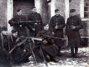lithuanian_enfield1.jpg