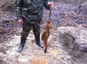 IMG_2255.JPG