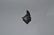 DSC_2523.JPG