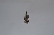 DSC_2526.JPG
