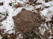 IMG_3185.JPG