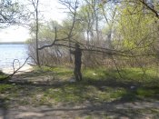 DSCN8612.jpg