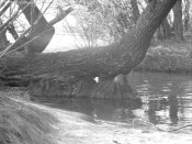 DSCN8655.jpg