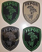 Укроп 5.JPG