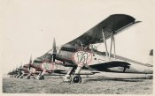 Heinkel He51.jpg