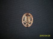 PIC_0338.jpg