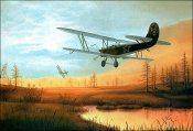Po-2.jpg