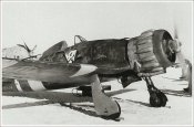 macchi_c200_369sq_22graut_krivoj-rog_russia_sept_1941.jpg