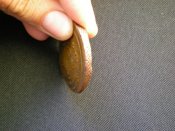 Монета (4).JPG