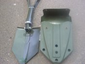 SDC11600.jpg