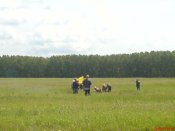 806780 (6).JPG