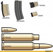 памятка-магазин-обойма-патроны-565161.jpeg