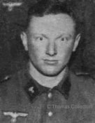collar_patch_540.jpg