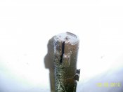 PIC_0692.jpg