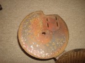 DSC07522.JPG