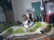 DSC03118.JPG