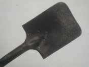 WP_002910.jpg