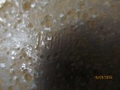 IMG_4707.JPG