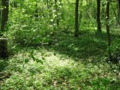 IMG_0499.jpg