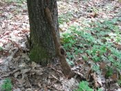 IMG_0491.jpg