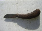 P4110083.jpg