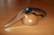 DSCF5188.jpg