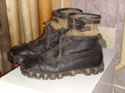SI856910.jpg