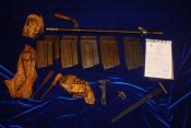 DSC08252.jpg