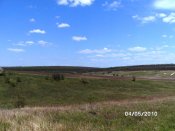 PICT0619.JPG