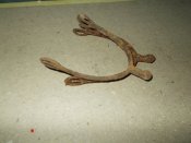 DSCN4017.JPG
