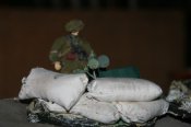 t39.jpg