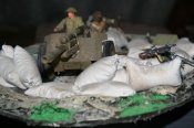 t41.jpg
