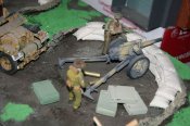 t44.jpg