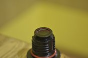 _DSC0529.JPG