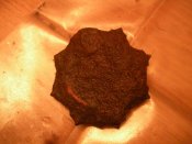 DSCN4337.jpg