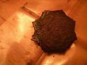 DSCN4338.jpg