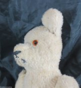 Buckel-Teddy 2.JPG