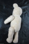 Buckel-Teddy 3.JPG