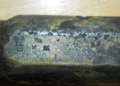 DSCN5178.JPG