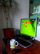 DSC03136.JPG