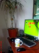DSC03135.JPG