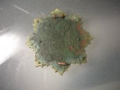 DSCN4355.jpg