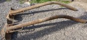 DSC08511.jpg