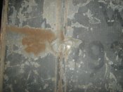 IMG_0037.JPG