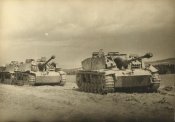 STURMGESCHUTZ 2.JPG