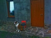 DSC02723.JPG