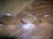 DSCN1926.jpg
